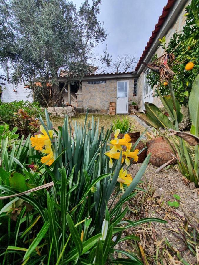 Casa Da Poca Villa Baião Exteriör bild
